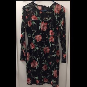 Charolette Russe Black and Flowered dress